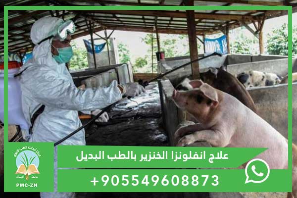 علاج انفلونزا الخنزير بالطب البديل