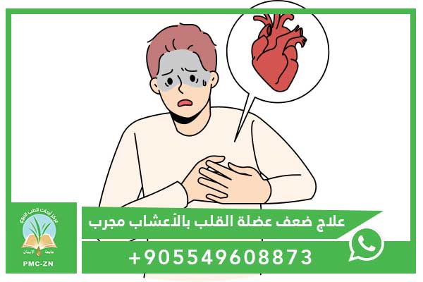 علاج ضعف عضلة القلب بالأعشاب مجرب