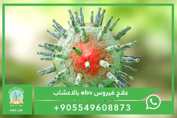 علاج فيروس ebv بالاعشاب