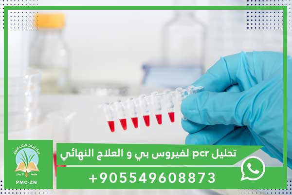 شرح تحليل pcr لفيروس بي – دليل شامل