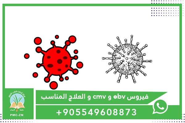 فيروس ebv و cmv