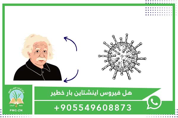 هل فيروس اينشتاين بار خطير