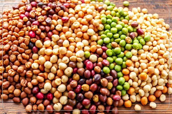 استيراد البقوليات من سوريا